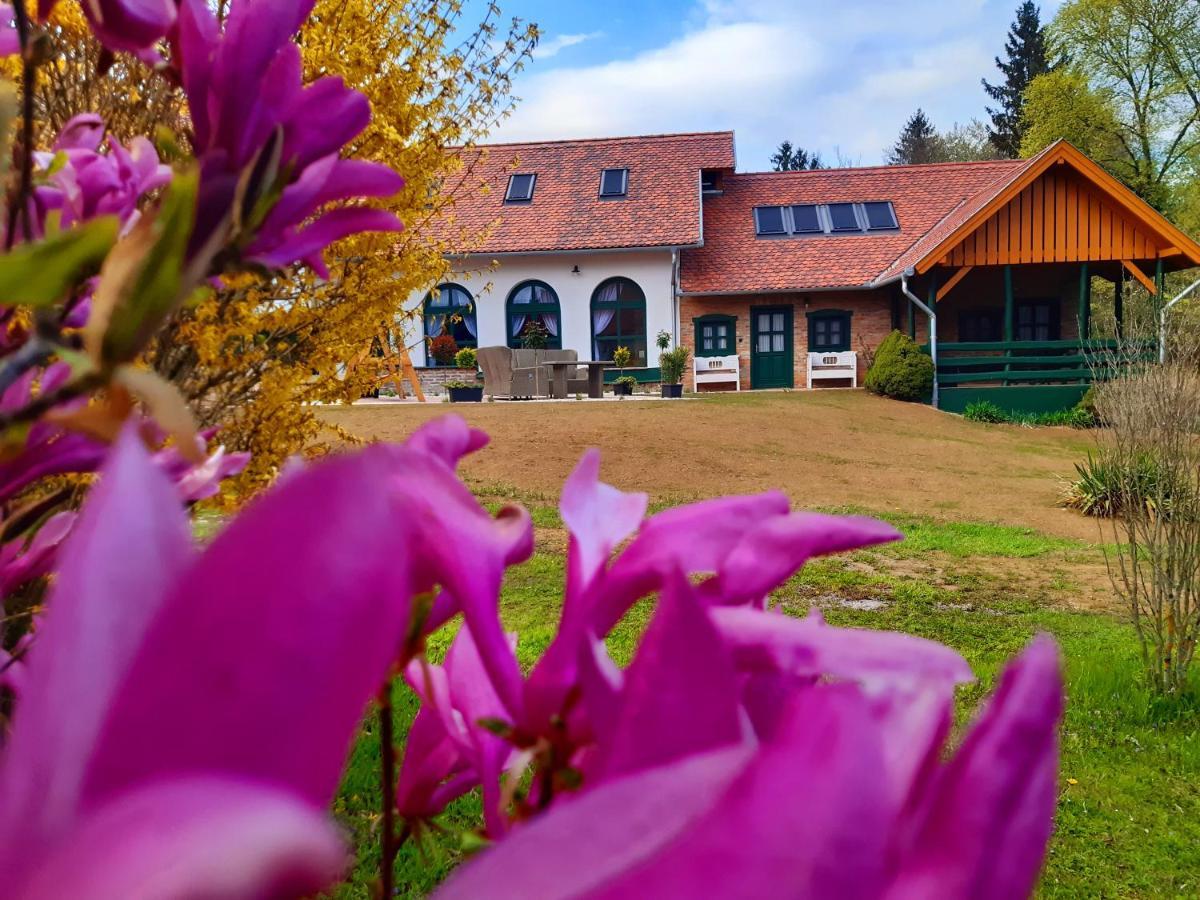 Hotel Feny-Szer Vendeghaz Orseg Szentgotthárd Zewnętrze zdjęcie